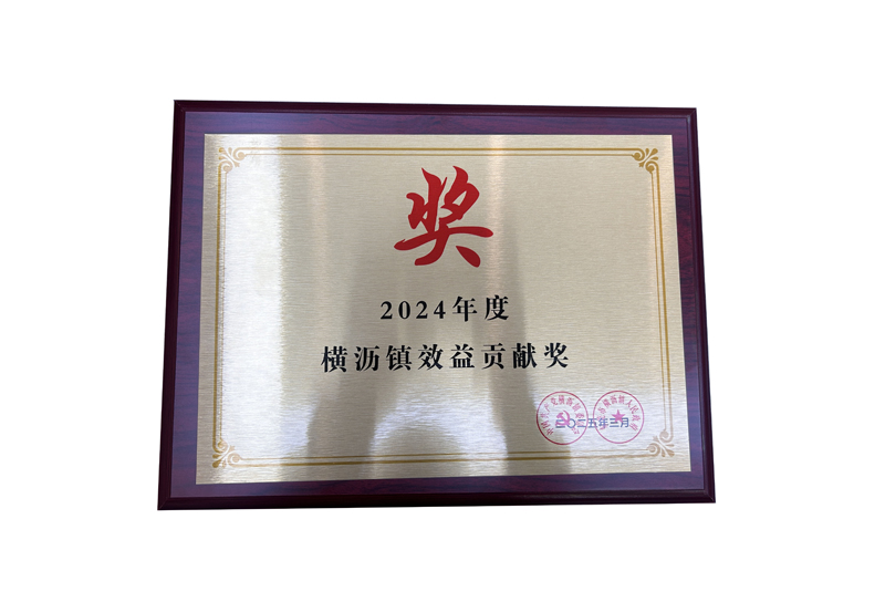2024年度橫瀝鎮(zhèn)效益貢獻獎